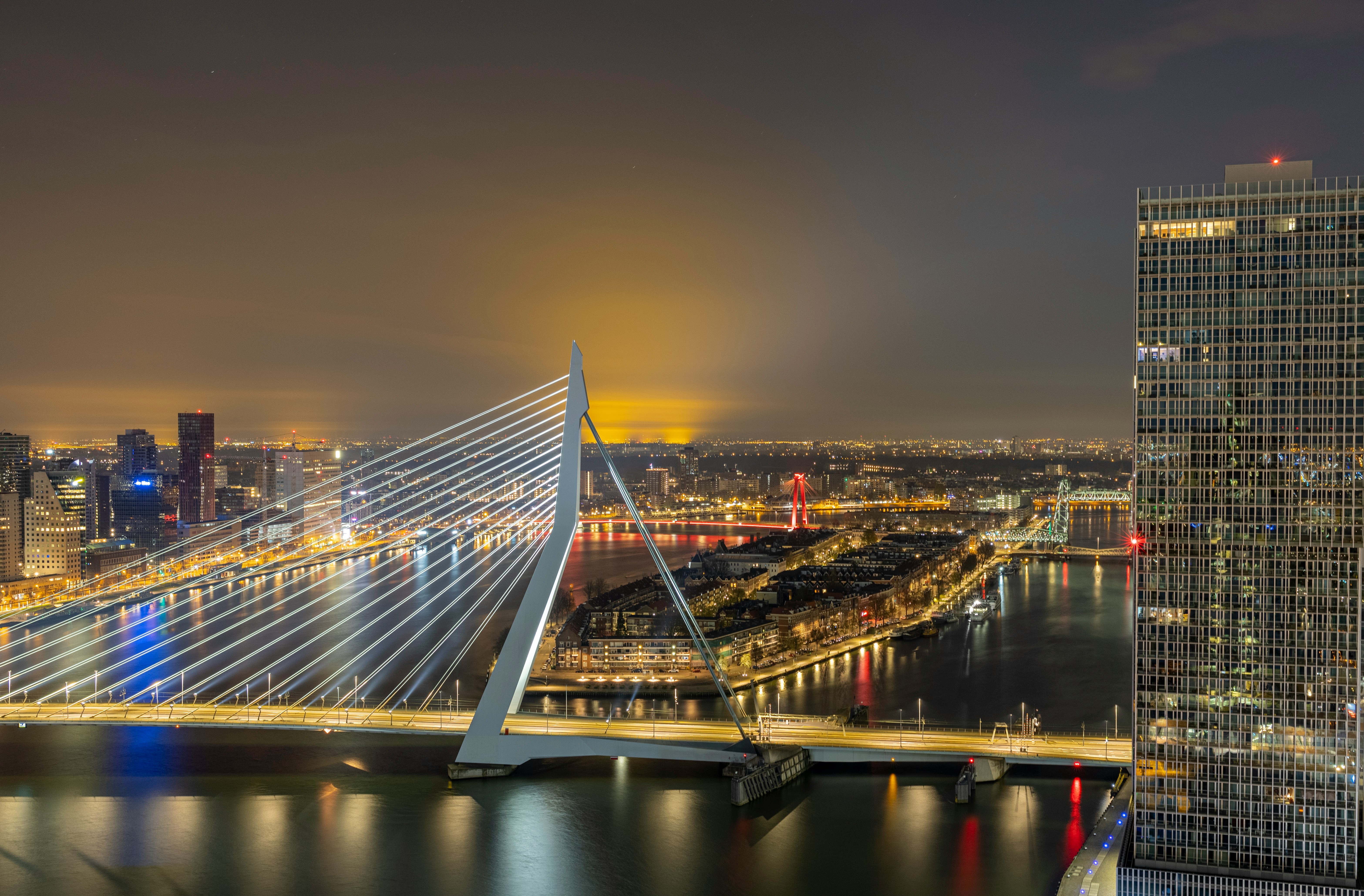 Rotterdam Erasmusbrug by night